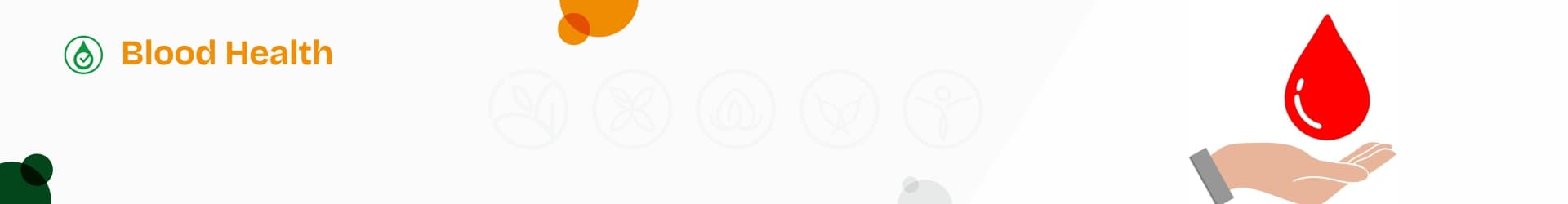 banner0