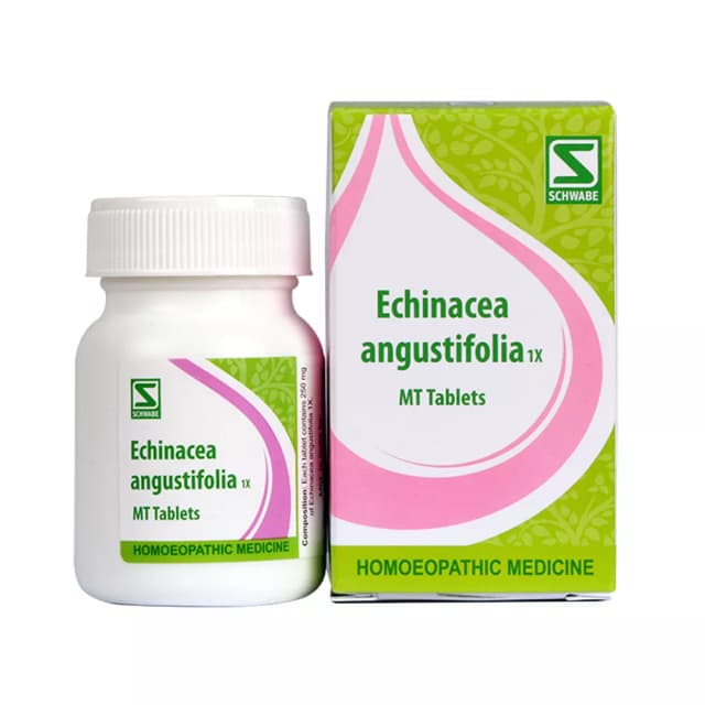 /media/products/dr-willmar-schwabe-echinacea-angustifolia-1x20-g-1.webp