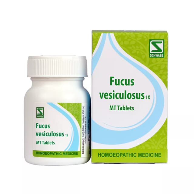 /media/products/dr-willmar-schwabe-fucus-vesiculosus-1x20-g-1.webp