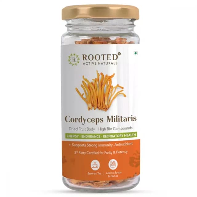 /media/products/rooted-active-naturals-cordyceps-militaries-30-g-1.webp