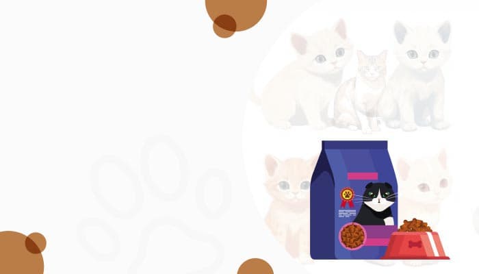 Best Indian Groceries & Authentic Products - Online at OLRAA