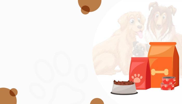 Best Indian Groceries & Authentic Products - Online at OLRAA