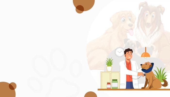 Best Indian Groceries & Authentic Products - Online at OLRAA