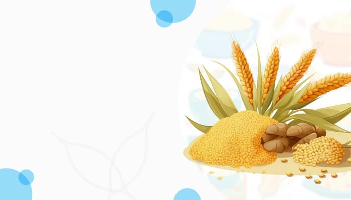 Best Indian Groceries & Authentic Products - Online at OLRAA