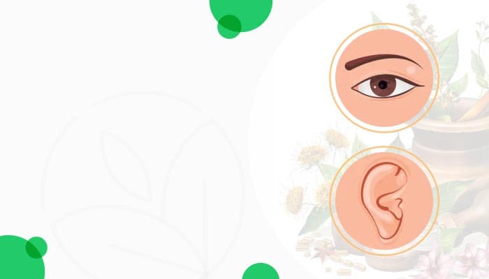 Best Indian Groceries & Authentic Products - Online at OLRAA