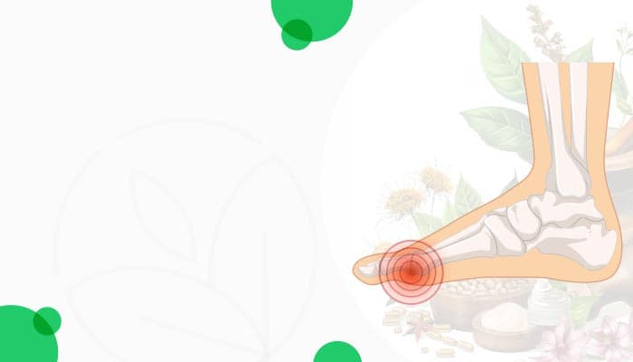 Best Indian Groceries & Authentic Products - Online at OLRAA