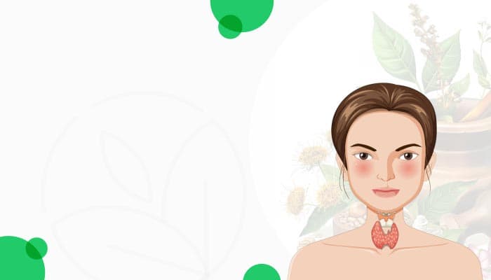 Best Indian Groceries & Authentic Products - Online at OLRAA