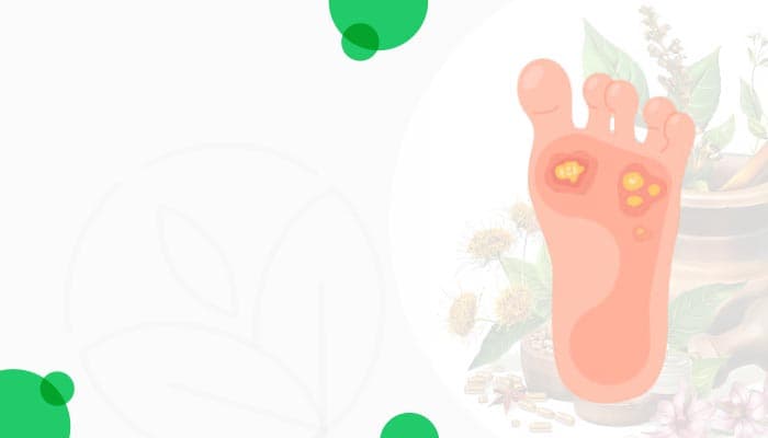Best Indian Groceries & Authentic Products - Online at OLRAA