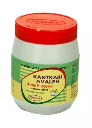 Buy Nagarjun Pharma Kantkari Avaleh Online - OLRAA Indian Snacks