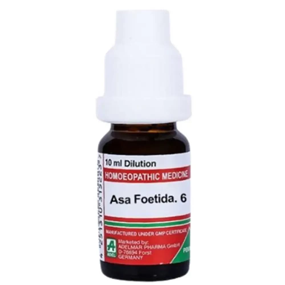 Buy Adel Asa Foetida Dilution Online - OLRAA Indian Snacks