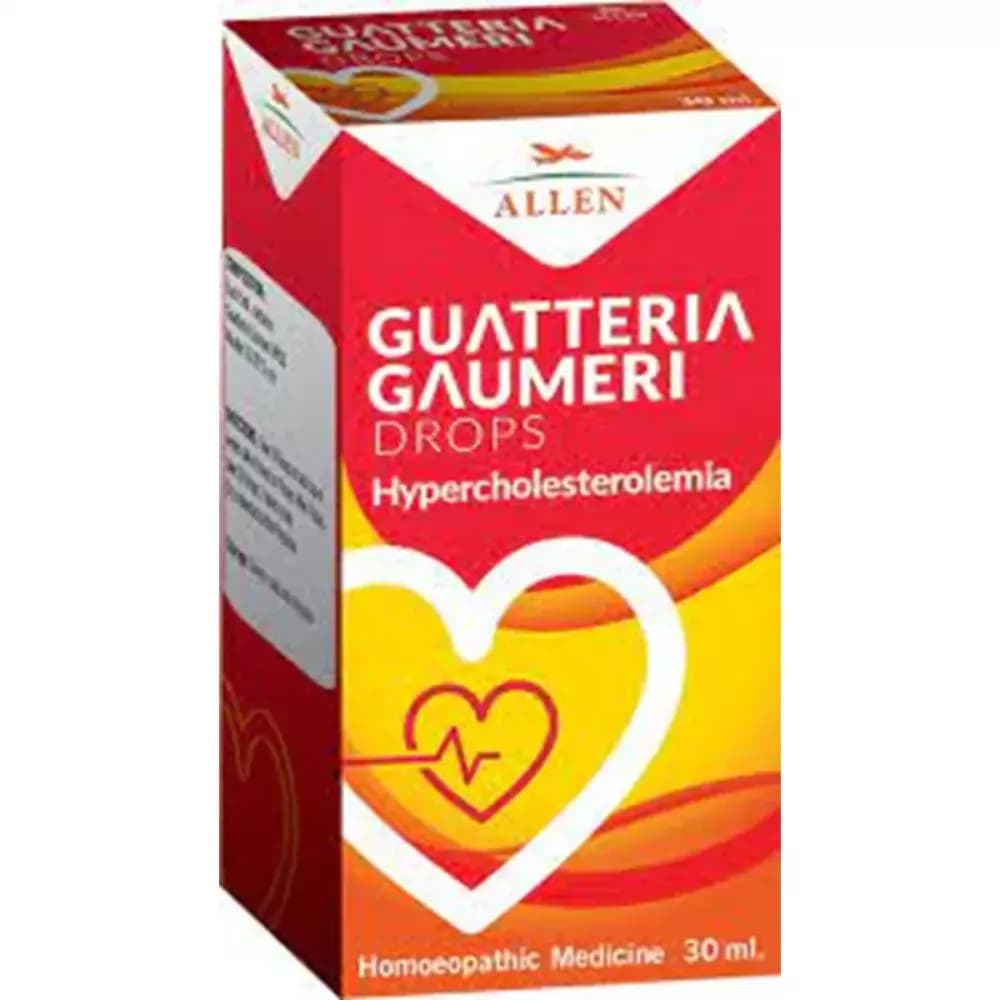 Buy Allen Guatteria Gaumeri Drop Online - OLRAA Indian Snacks
