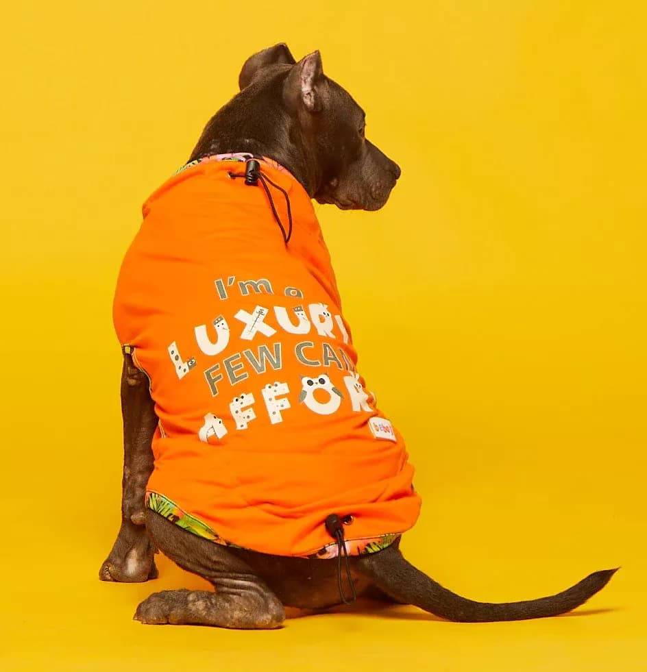 Buy Beboji I Am Luxury Few Can Afford Dog Tshirt Online - OLRAA Indian Snacks