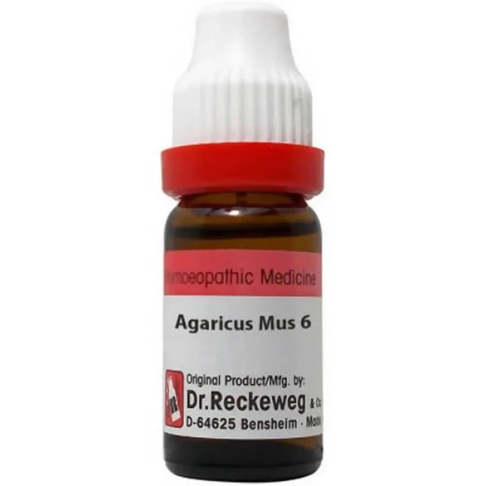Buy Dr. Reckeweg Agaricus Mus Dilution Online - OLRAA Indian Snacks