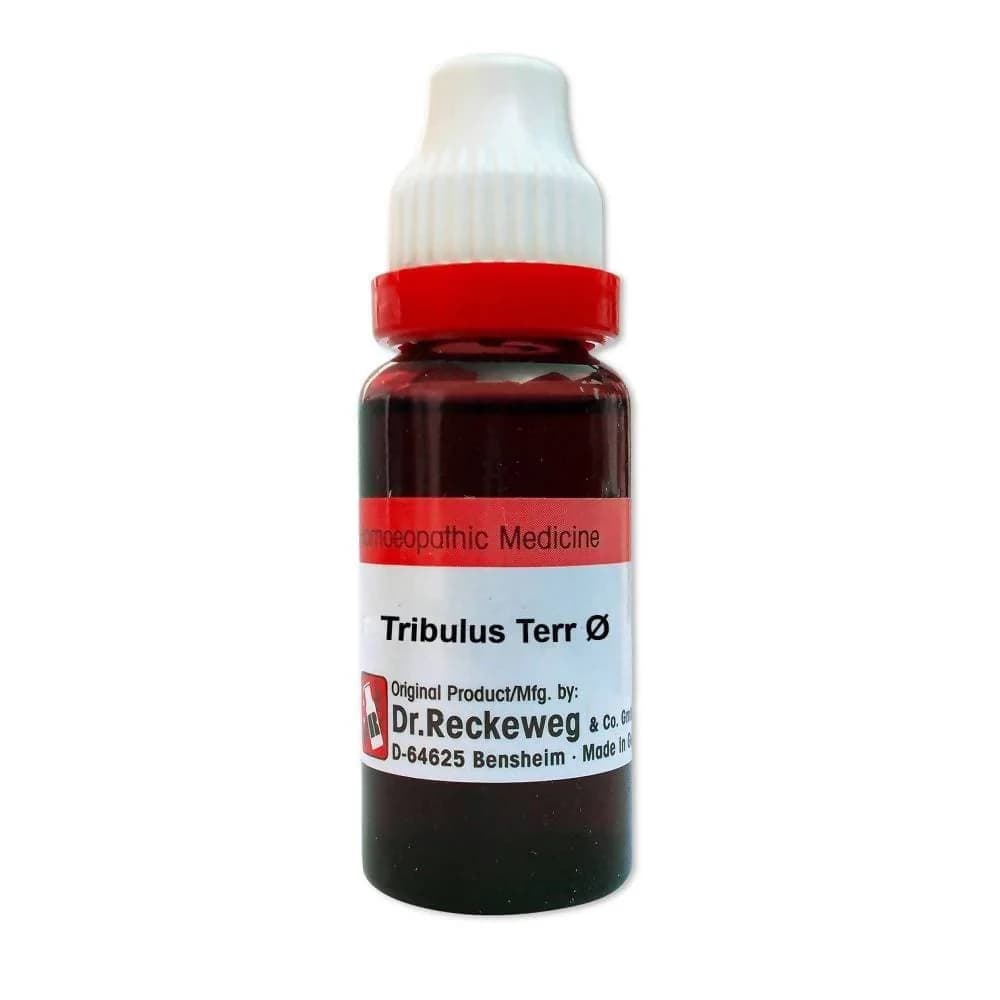 Buy Dr. Reckeweg Tribulus Terrestris Q Online - OLRAA Indian Snacks