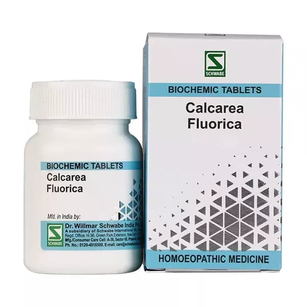 Buy Dr. Willmar Schwabe India Calcarea Fluorica Tablet Online - OLRAA Indian Snacks
