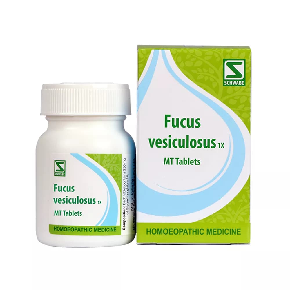 Buy Dr. Willmar Schwabe India Fucus Vesiculosus Tablet 1X Online - OLRAA Indian Snacks
