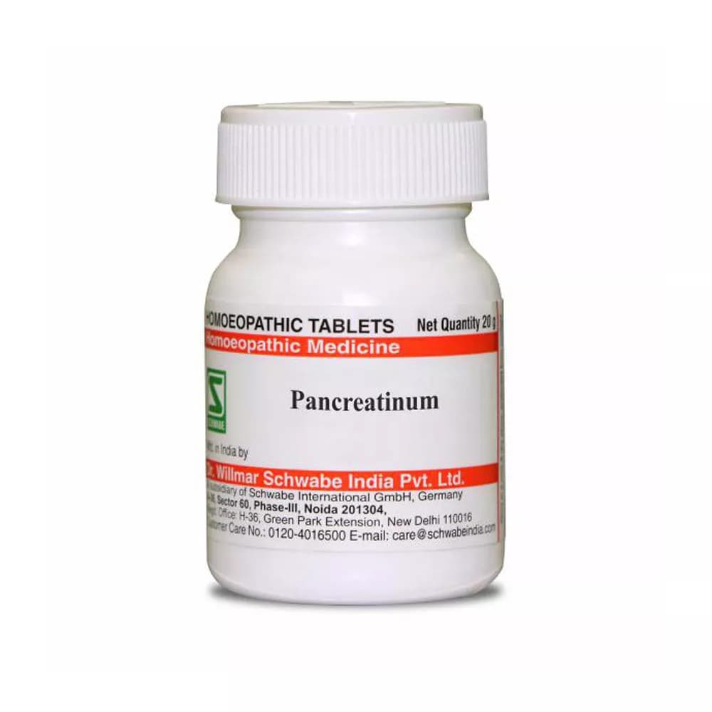 Buy Dr. Willmar Schwabe India Pancreatinum Tablet Online - OLRAA Indian Snacks
