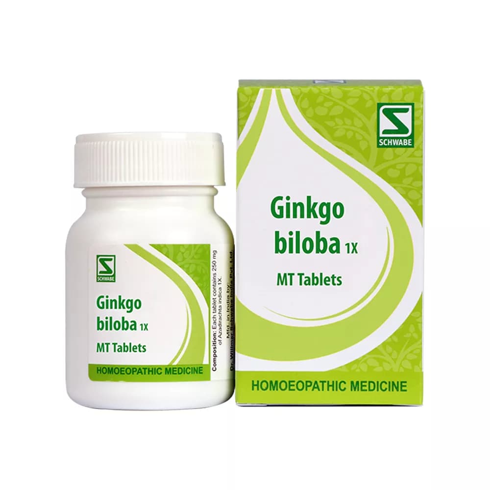 Buy Dr. Willmar Schwabe Ginkgo Biloba Tablet 1X Online - OLRAA Indian Snacks