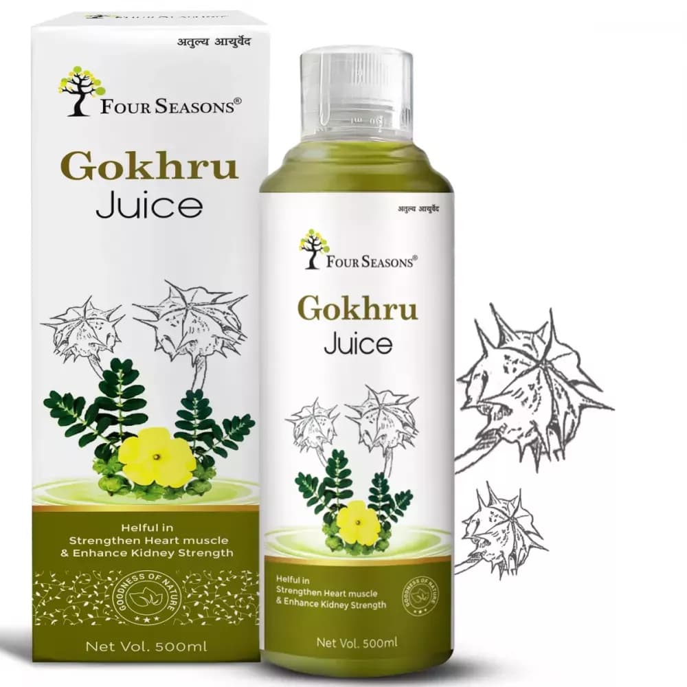 Buy Four Seasons Gokhru Juice Online - OLRAA Indian Snacks