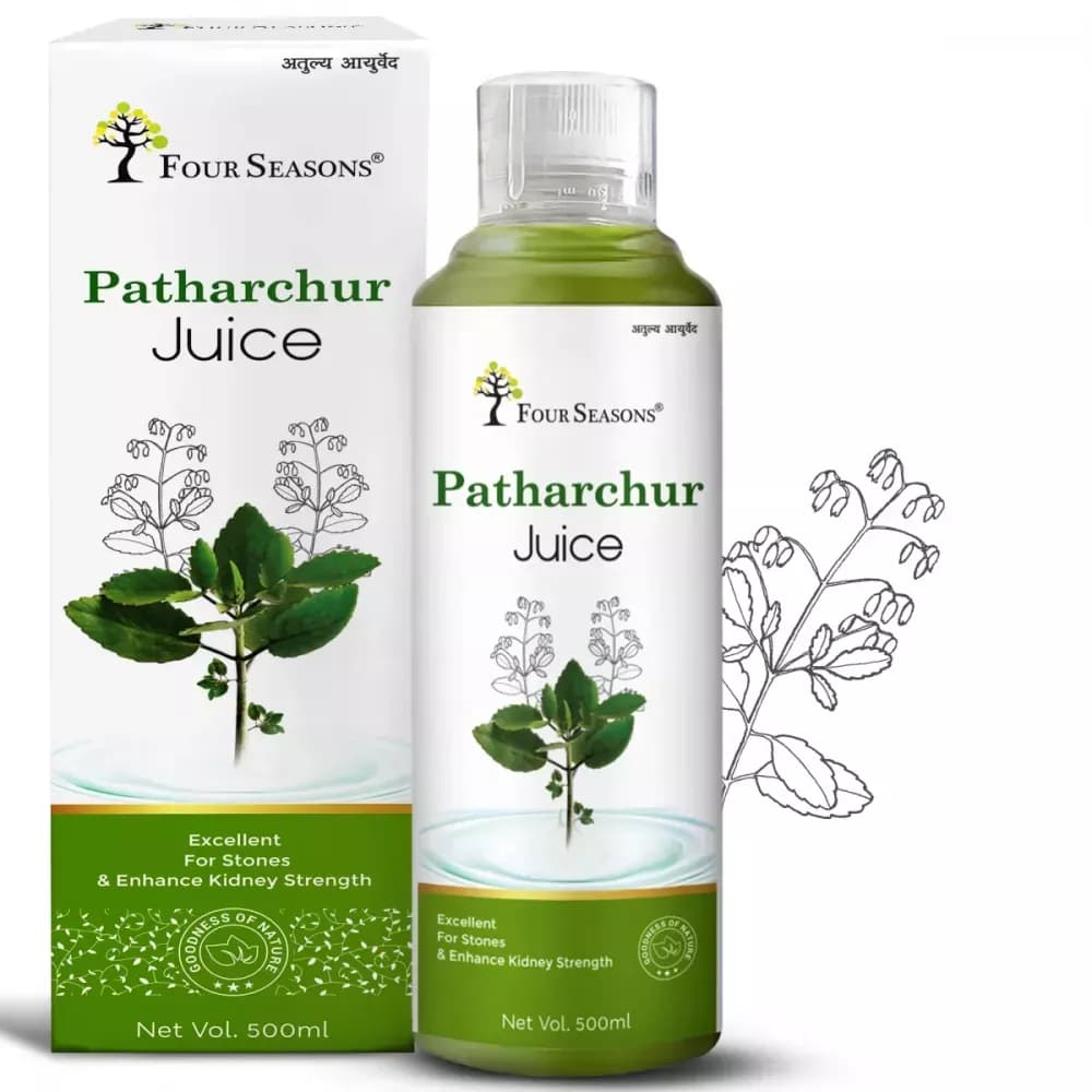 Buy Four Seasons Patharchur Juice Online - OLRAA Indian Snacks