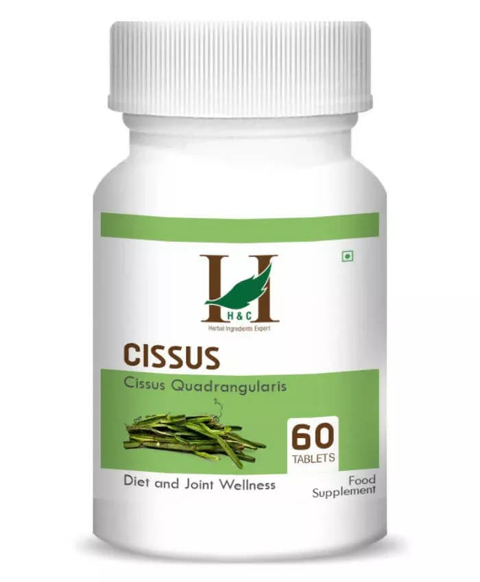 Buy H&C Herbal Cissus Tablets Online - OLRAA Indian Snacks
