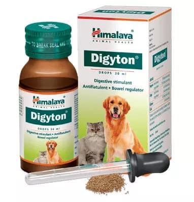 Buy Himalaya Dogs & Cats-Digyton Drops Online - OLRAA Indian Snacks