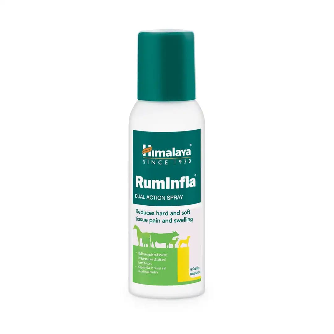 Buy Himalaya Ruminfla Online - OLRAA Indian Snacks