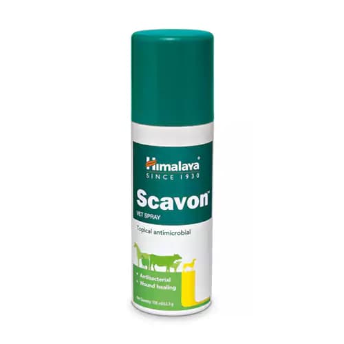 Buy Himalaya Scavon Vet Spray Online - OLRAA Indian Snacks