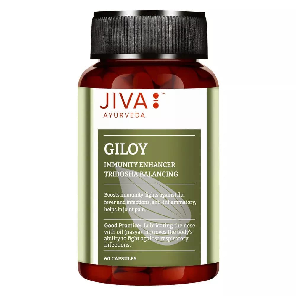 Buy Jiva Ayurveda Giloy Capsules  Online - OLRAA Indian Snacks