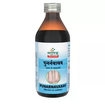 Buy Sandu Punarnavasav Online - OLRAA Indian Snacks