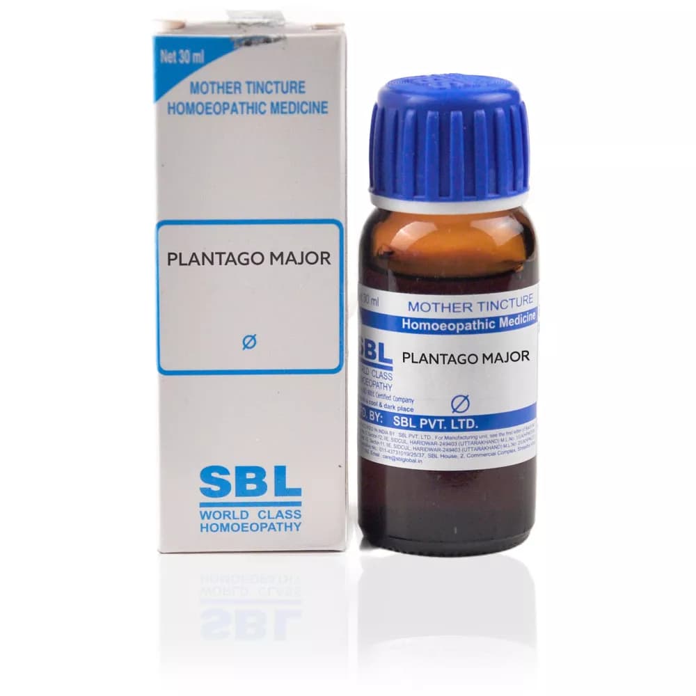 Buy SBL Plantago Major Mother Tincture Q Online - OLRAA Indian Snacks