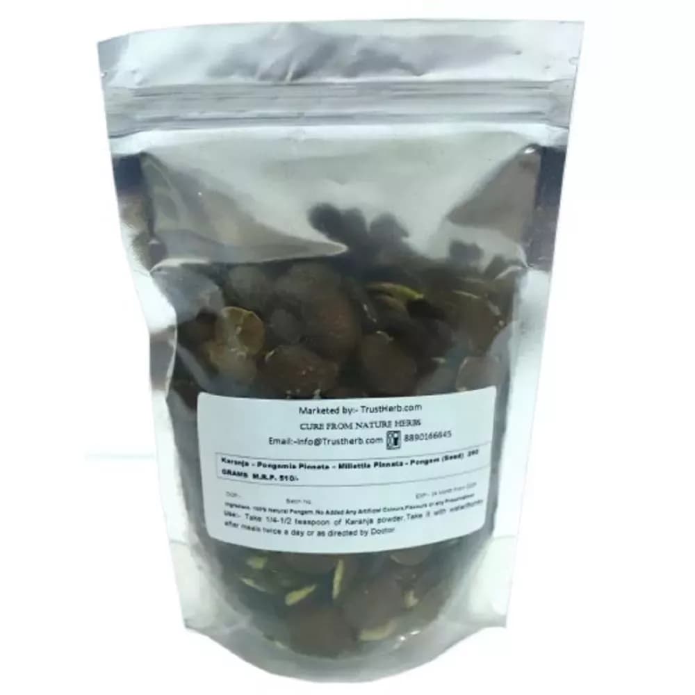 Buy TrustHerb Karanja Seeds Online - OLRAA Indian Snacks