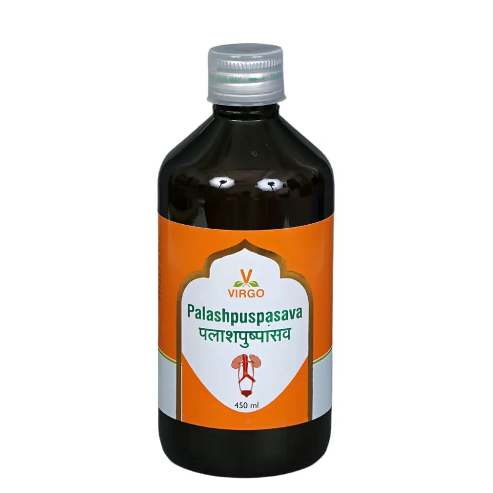 Buy Virgo Palashpushpasav Online - OLRAA Indian Snacks