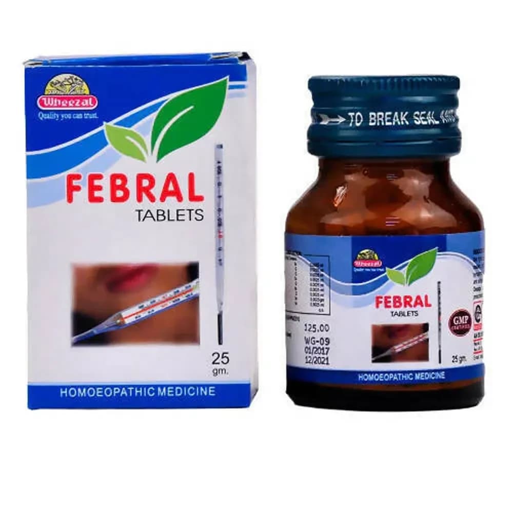 Buy Wheezal Febral Tablet Online - OLRAA Indian Snacks
