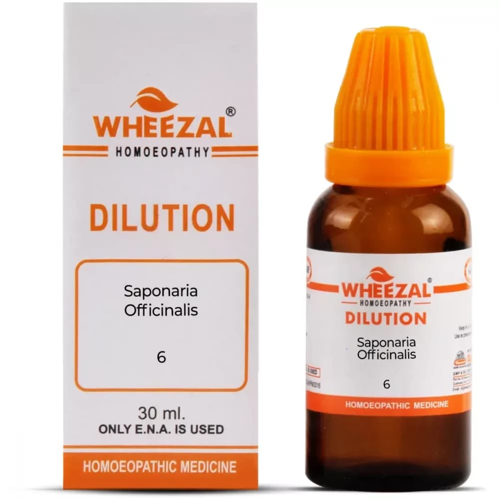 Buy Wheezal Saponaria Officinalis Dilution Online - OLRAA Indian Snacks