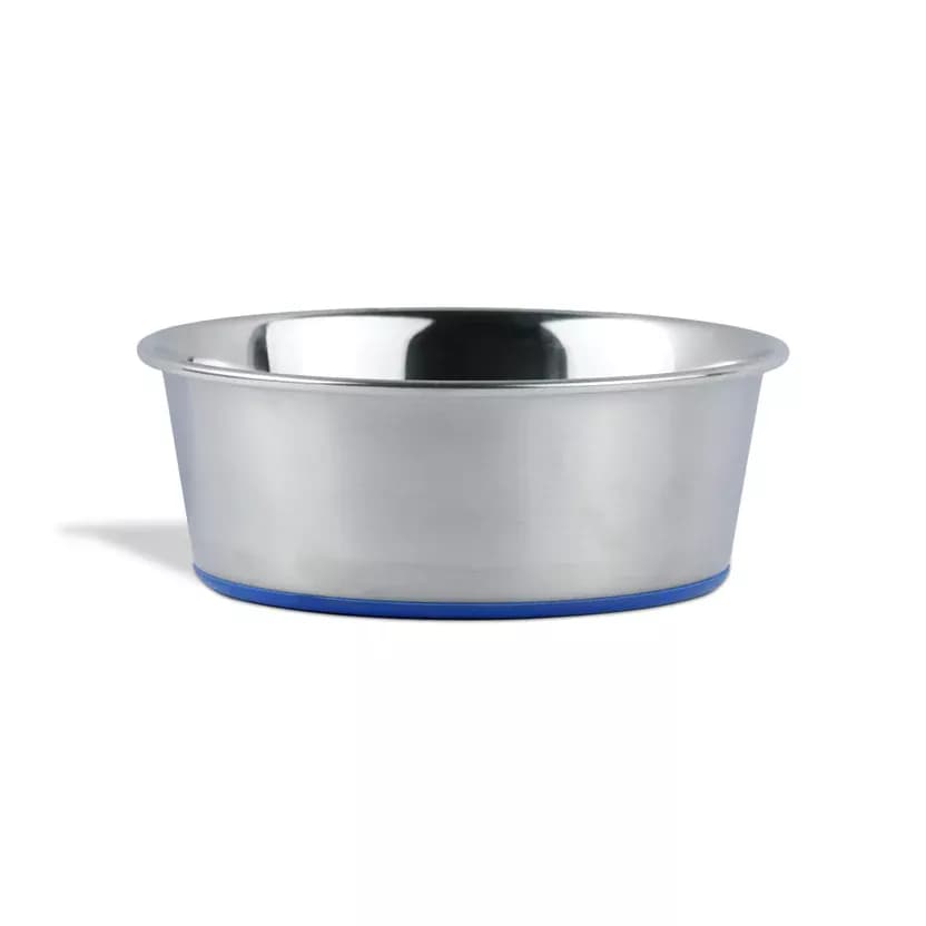 Buy  Zigly Classic Stainless Steel Dog Bowl Online - OLRAA Indian Snacks