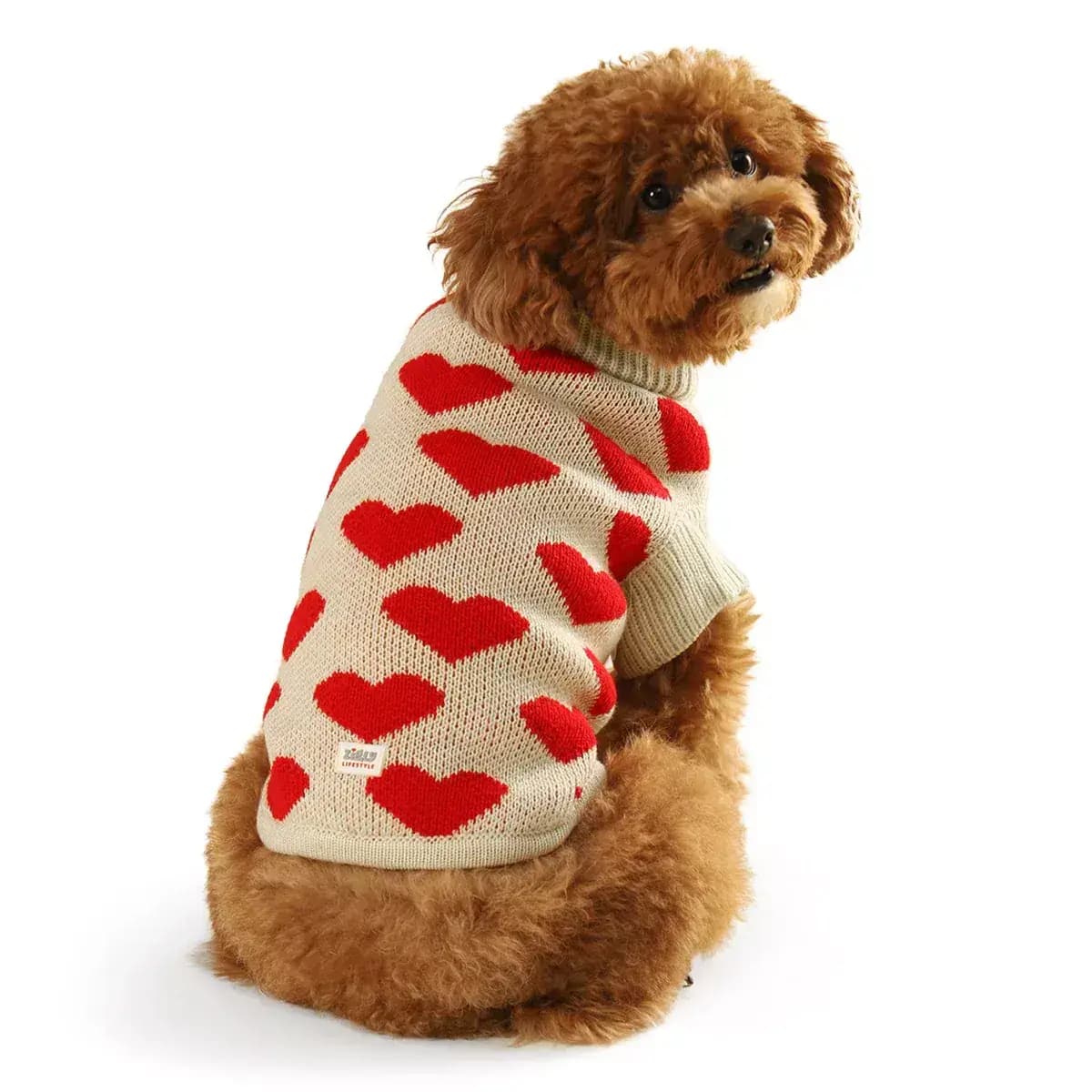 Buy ZL Little Hearts Dog Sweater Online - OLRAA Indian Snacks