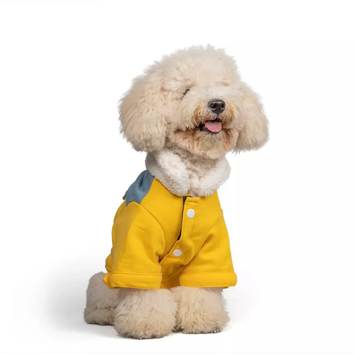 Buy ZL Winterized Denim-Sherpa Jacket Yellow Online - OLRAA Indian Snacks